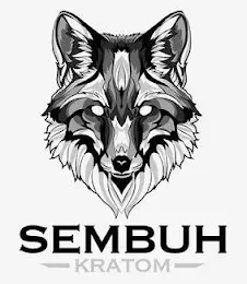 Sembuh Kratom