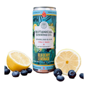 front of can of Botanical Brewing Elixir Blueberry Lemonade - 355ml