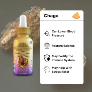 infographic of Royal Mushroom Chaga Mushroom Oil Tincture 60mL