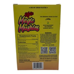 HiXotic Magic Mushies Strawberry Lemonade 2CT