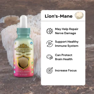 infographic of Royal Mushroom Lion's Mane Mushroom Oil Tincture 60mL