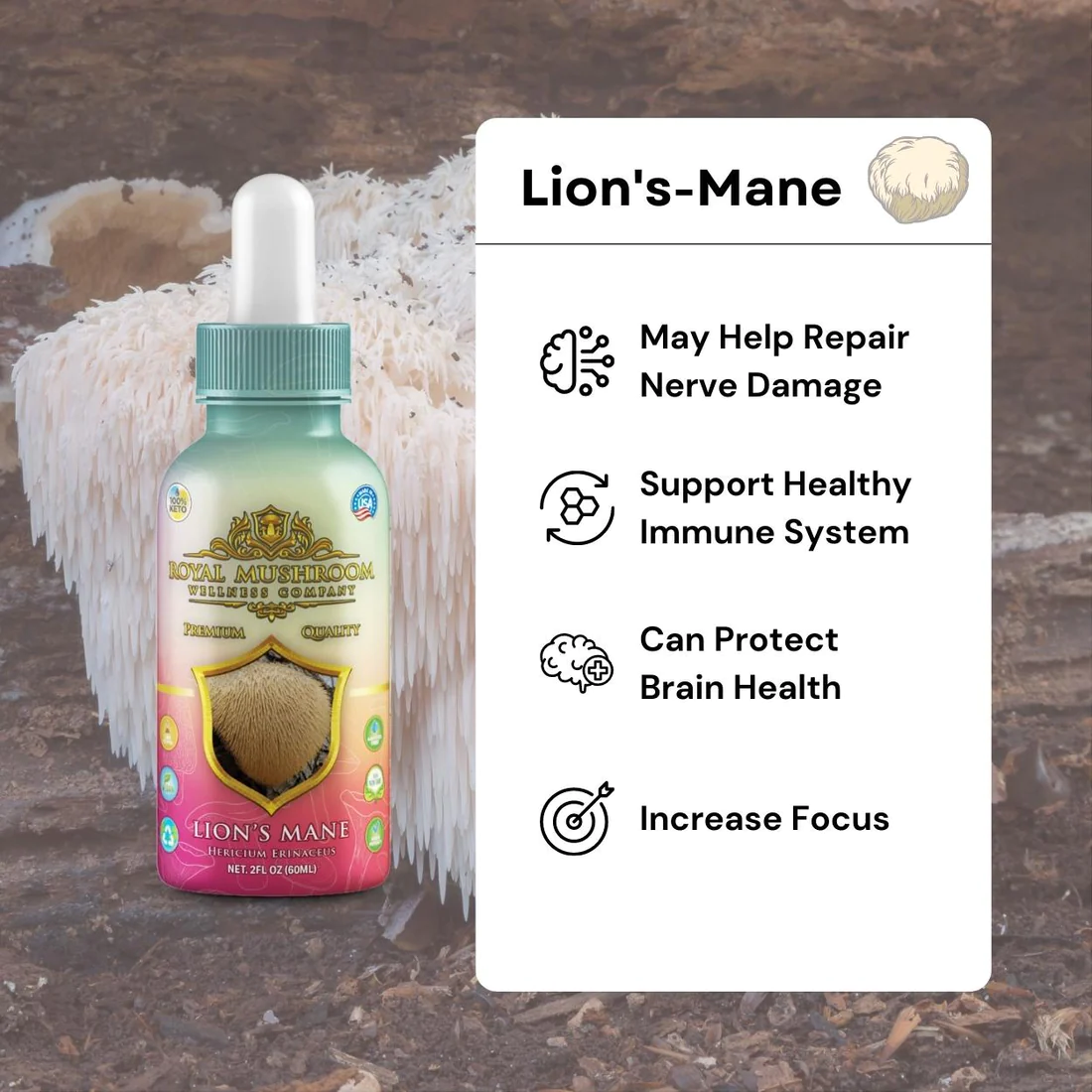 infographic of Royal Mushroom Lion's Mane Mushroom Oil Tincture 60mL