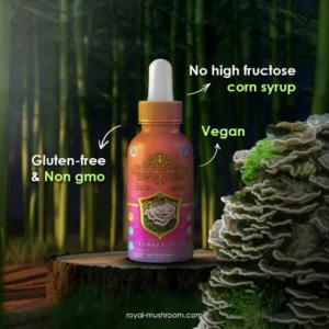 artistic infographic for Royal Mushroom Turkey Tail Mushroom Oil Tincture 60ml