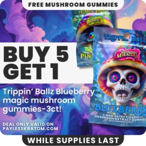 Trippin Ballz Mushroom Gummies Blueberry