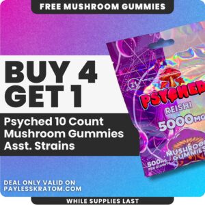 Psyched Lions Mane Mushroom Gummies (DEAL Buy 4 Get 1)