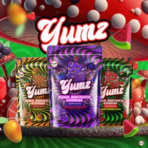 Yumz Magic Nootropic Gummies