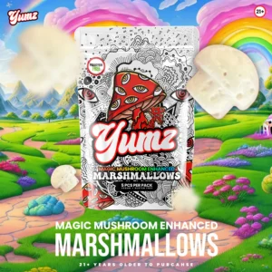 promo image of single pack of YUMZ Magic Nootropic Marshmallows