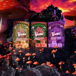 Yumz Magic Nootropic Gummies