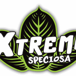 Xtreme Speciosa