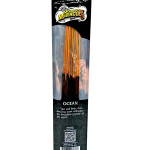 single pack of Modern Day Miracles Incense 10ct
