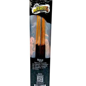single pack of Modern Day Miracles Incense 10ct (var 3)