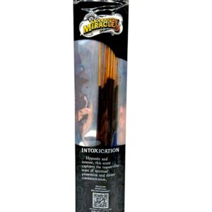 single pack of Modern Day Miracles Incense 10ct (var 10)