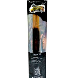 single pack of Modern Day Miracles Incense 10ct (var 4)