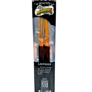 single pack of Modern Day Miracles Incense 10ct (var 9)