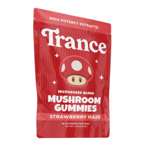 Trance Mushroom Flavored Gummies 10ct - Alphonso Mango
