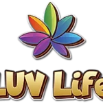 Luv Life Happy Focus Kava Shot 1150mg 60mL (BUY 1 GET 1) | High-Quality Image